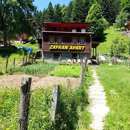 Villa Zafran Ayder Yaylası Dış mekan fotoğraf