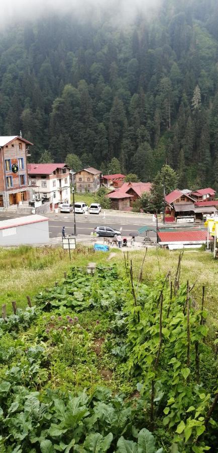 Villa Zafran Ayder Yaylası Dış mekan fotoğraf
