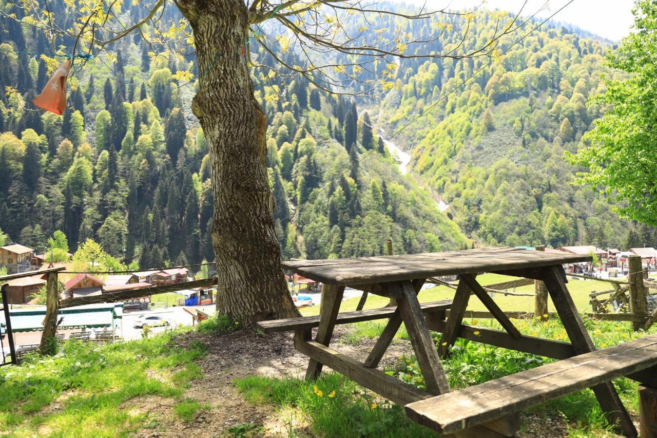 Villa Zafran Ayder Yaylası Dış mekan fotoğraf