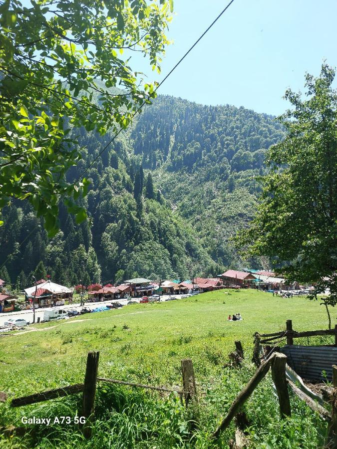 Villa Zafran Ayder Yaylası Dış mekan fotoğraf